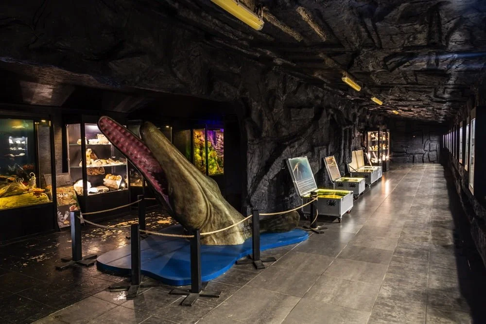 Muzeum Dinozaurów w Bałtowie