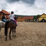 -kraina-koni-ranczo-