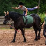 -nauka-jazdy-baltow-