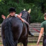 -kraina-koni-wybieg-Baltow-