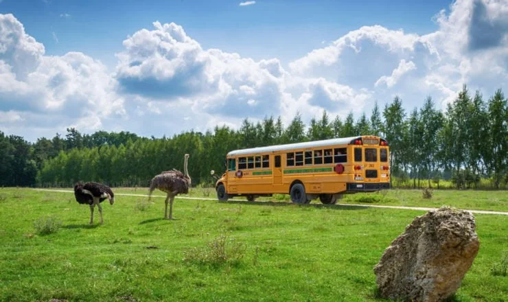 Autobus-zwiedzanie-parku-