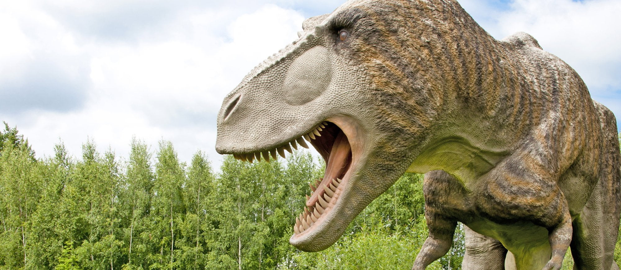 -Tyranozaur-Park-dinozaurow-w-Baltowie