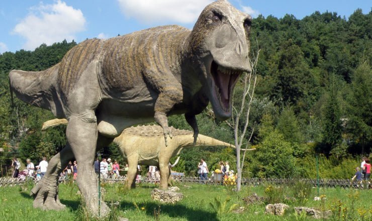 tyranozaur rex w bałtowie