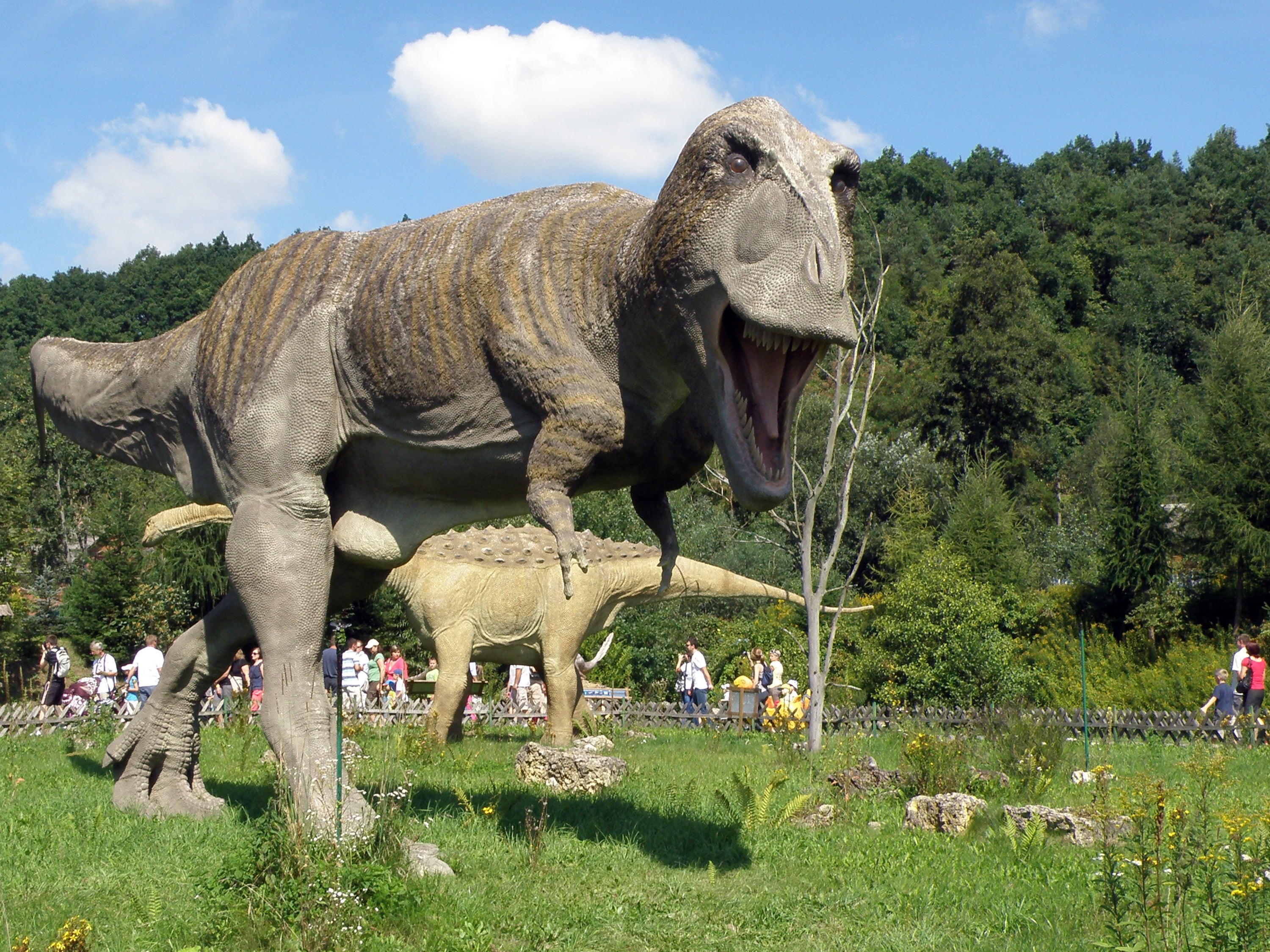 tyranozaur rex w bałtowie