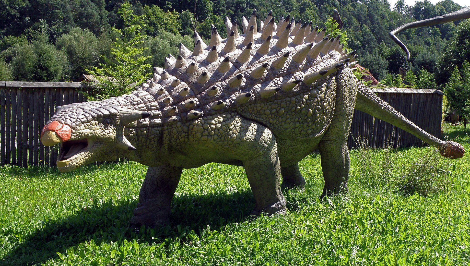 ankylozaur - jurapark bałtów