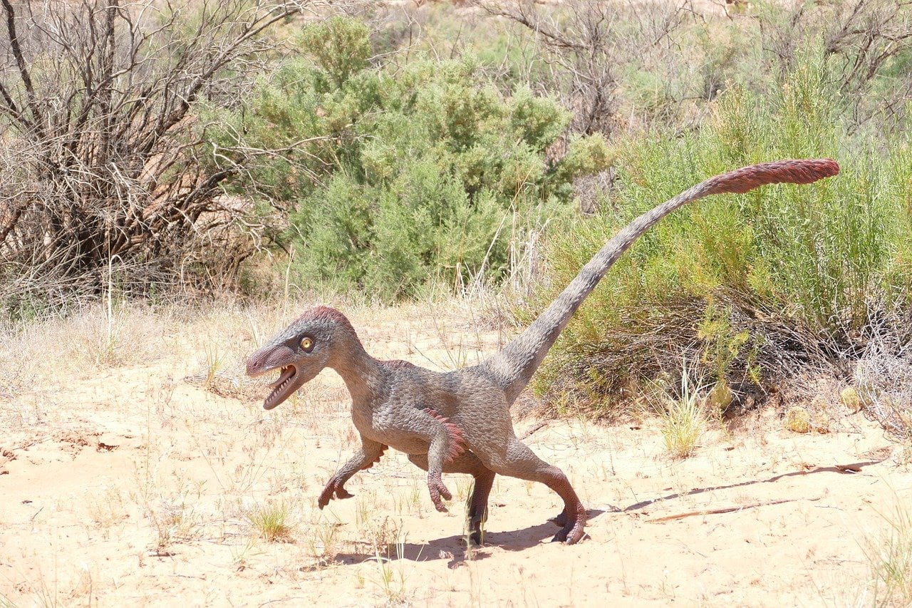 welociraptor