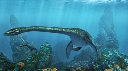 Plesiosaurus (dolichodeirus) – przodek Nessi