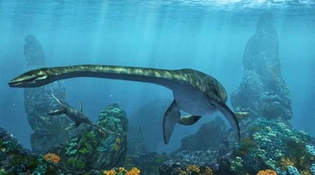 Plesiosaurus (dolichodeirus) – przodek Nessi