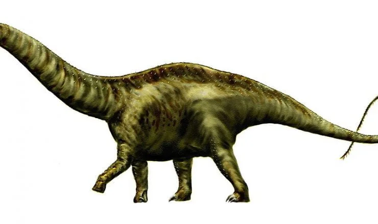 Apatozaur