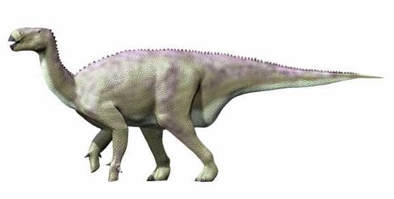 Ilustracja iguanodona