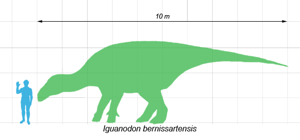 Iguanodon wielkość