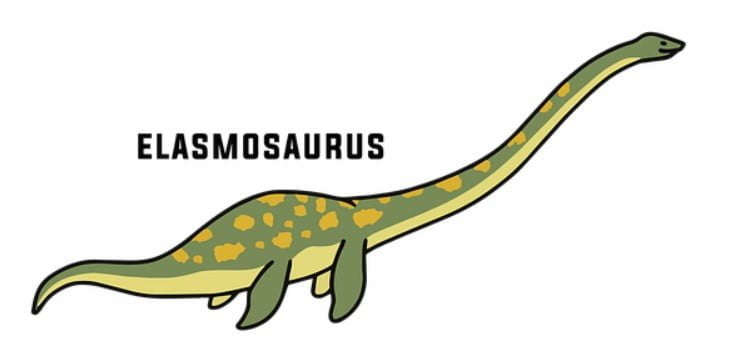 elasmosaurus