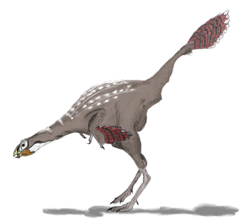 Kaudipteryks – przedstawiciel maniraptorów z grupy owiraptorozaurów