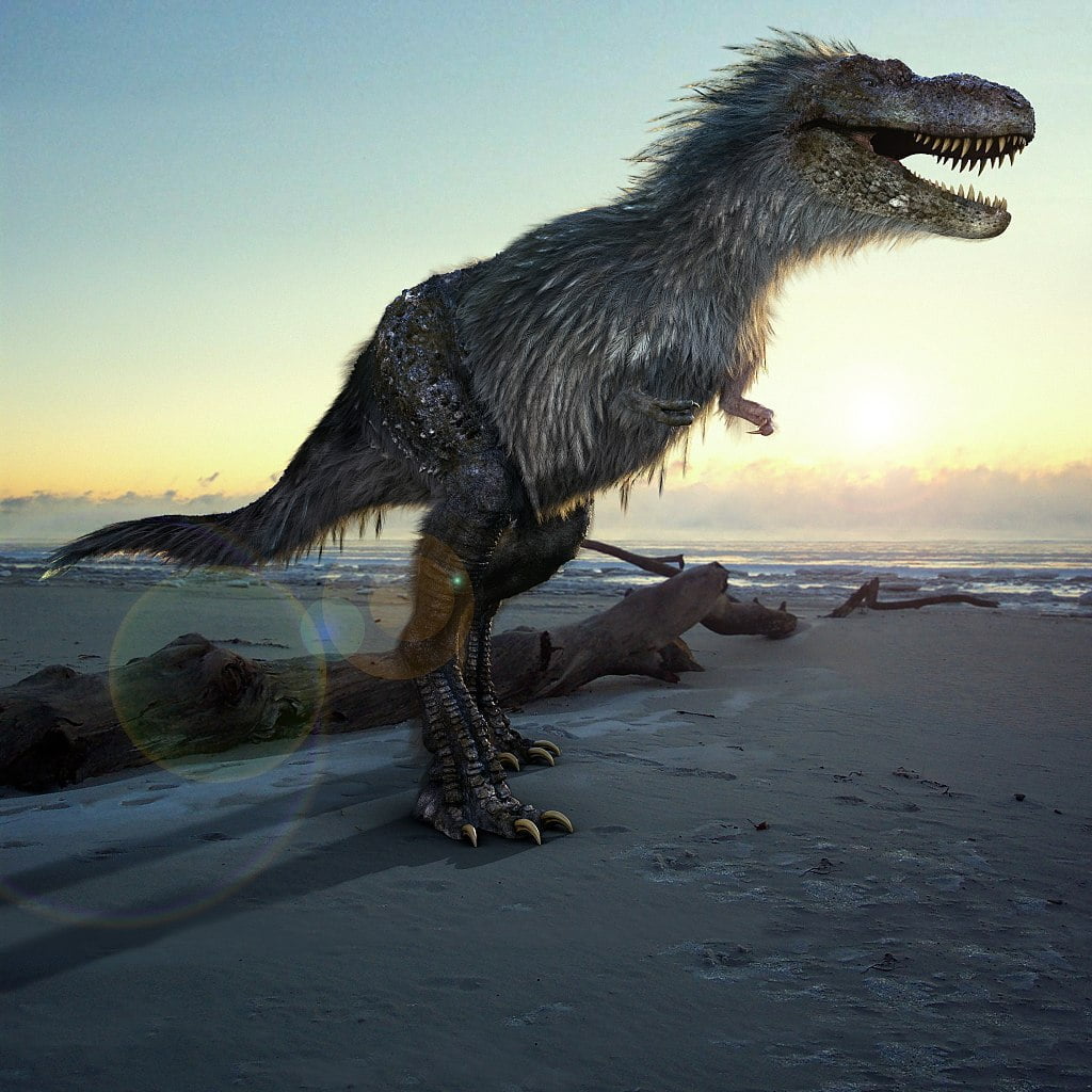 Gorgosaurus by Johnson Mortimer