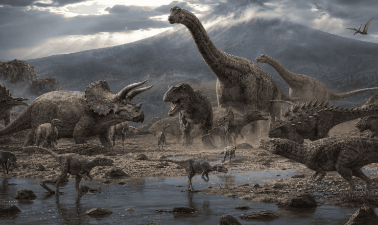 Różne gatunki dinozaurów