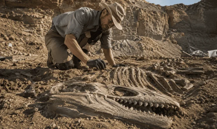 Najskuteczniejsze badania dinozaurów
